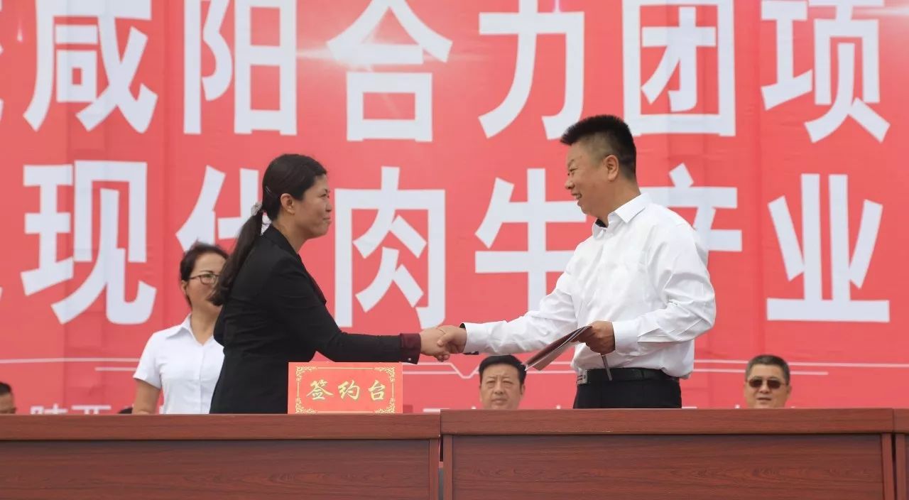 皇家国际·(中国区)有限公司官网