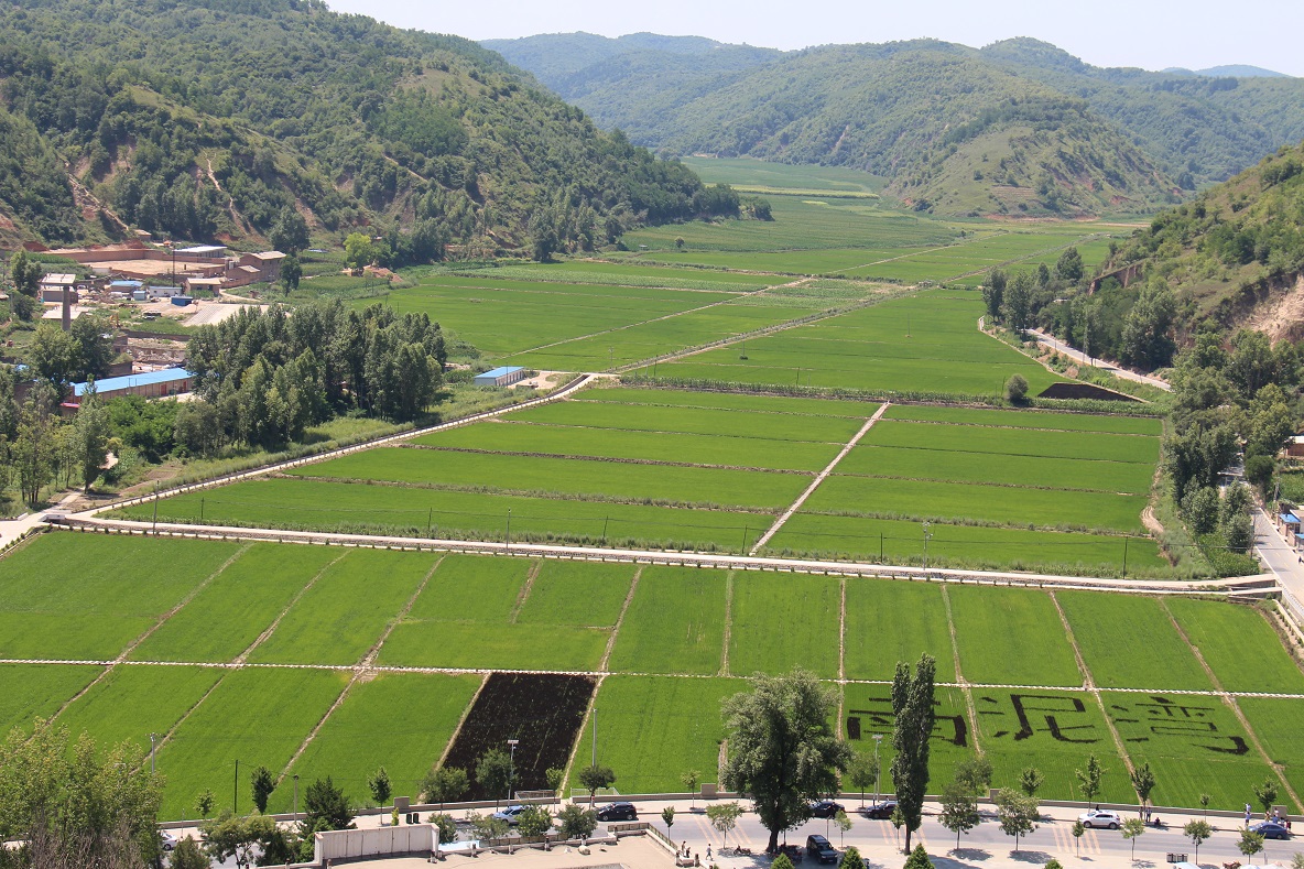 皇家国际·(中国区)有限公司官网