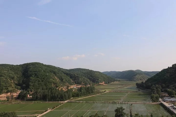 皇家国际·(中国区)有限公司官网