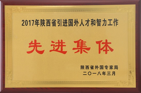 2017年陕西省引进外洋人才和智力事情先进整体.JPG