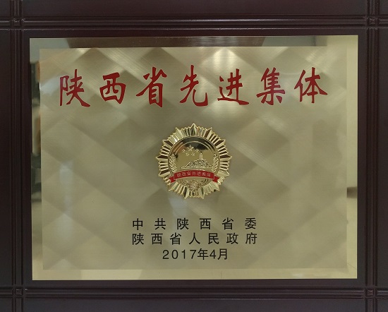 2017年陕西省先进整体.jpg