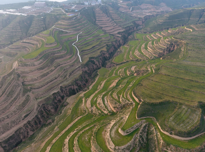 皇家国际·(中国区)有限公司官网