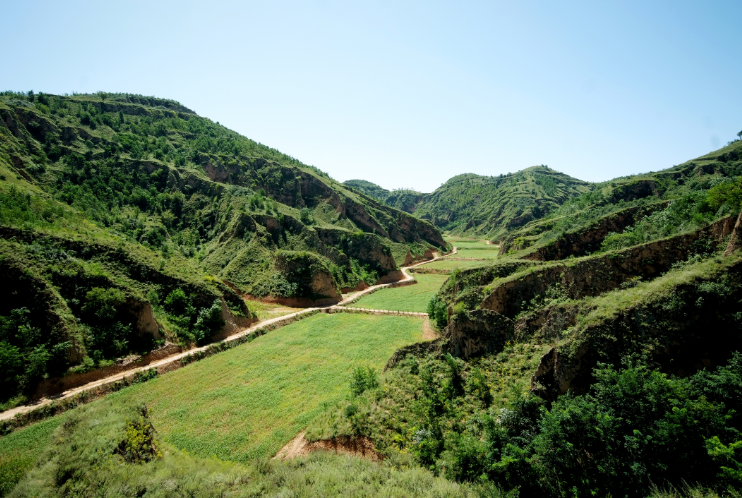 皇家国际·(中国区)有限公司官网