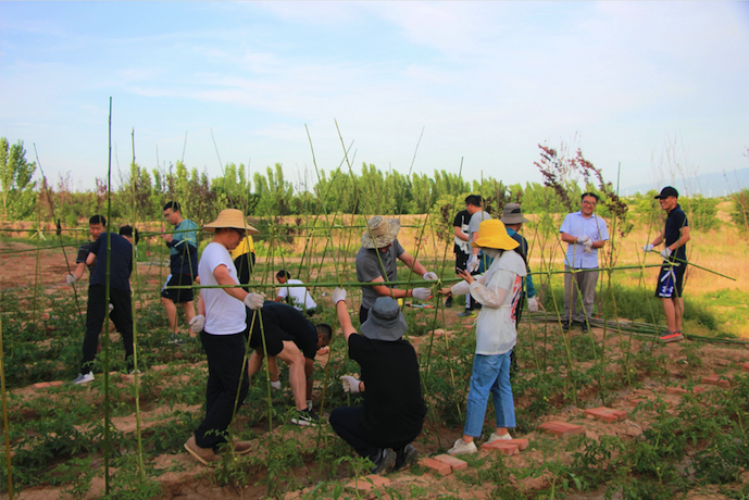 皇家国际·(中国区)有限公司官网
