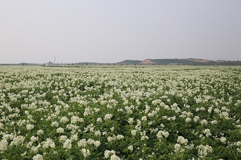 皇家国际·(中国区)有限公司官网